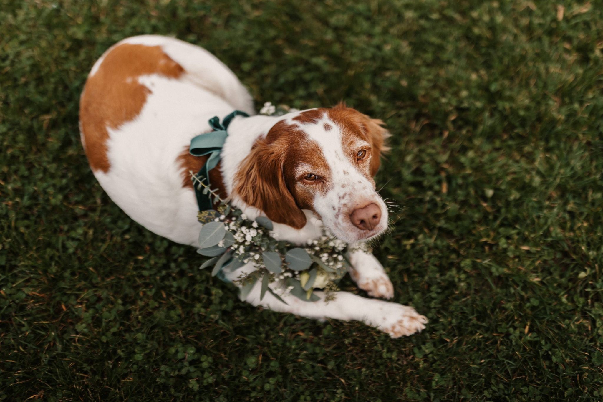 Hochzeit_Winterstellgut_Martin&Marianne_SelinaFlaschPhotography-1